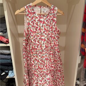 J. Crew Women Dress with Watermelon Pattern in Pink and Green